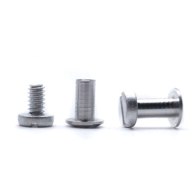 Produces According Drawing Stainless Steel Slot Male Female Screw