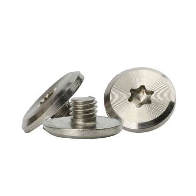 Custom Stainless Big Head Machine Thread Torx Screws For Knives