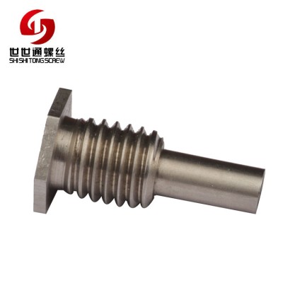 Produced according to drawings Sheet Top Lid Fixing Special Screw