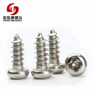 Iron Steel Small Pan Head Phillips Self Tapping Miniature Screw