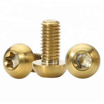 Customized Brass Six Lobe Star Button Head CNC Torx Screw