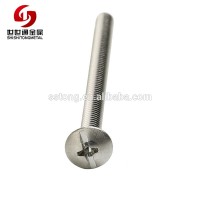 Steel Full Thread Phillips and Slot Long Screw Truss Head