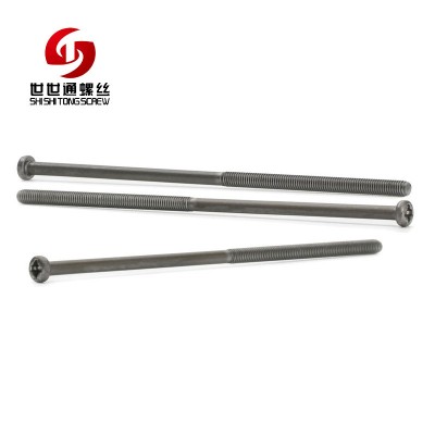 Customized Pozi Pan Head Machine Screw Nonstandard Long Screw