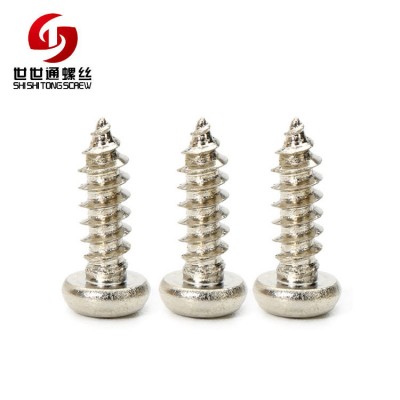 Custom Stainless Steel Self-tapping Mini Micro Glasses Watch Screws Phillips Pan Head Self Tapping Small Screw