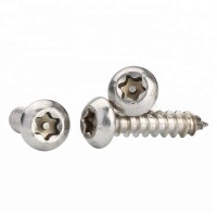 Anti Theft Pan Head Security Torx Pin Stainless Screw